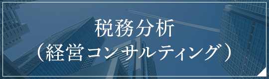 税務分析(経営コンサルティング)